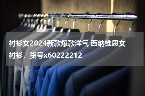 衬衫女2024新款爆款洋气 西纳维思女衬衫，货号x60222212