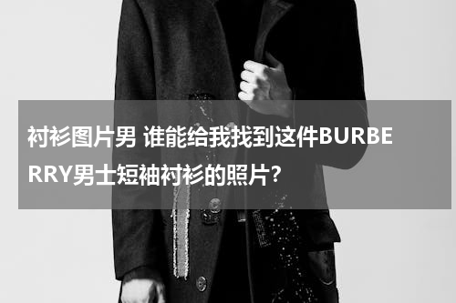 衬衫图片男 谁能给我找到这件BURBERRY男士短袖衬衫的照片？
