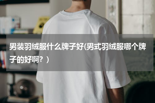 男装羽绒服什么牌子好(男式羽绒服哪个牌子的好啊？)