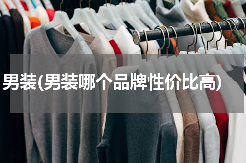男装(男装哪个品牌性价比高)