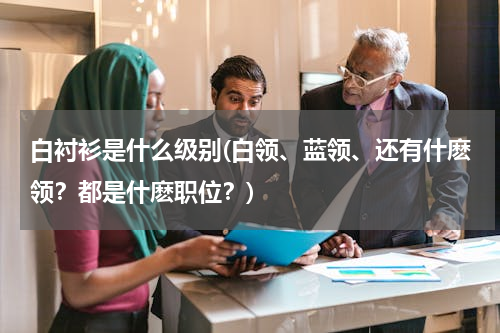 白衬衫是什么级别(白领、蓝领、还有什麽领？都是什麽职位？)