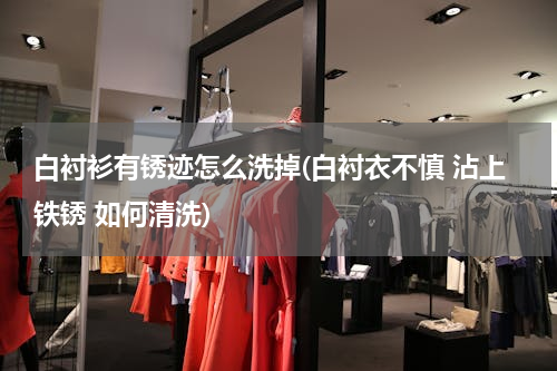 白衬衫有锈迹怎么洗掉(白衬衣不慎 沾上铁锈 如何清洗)