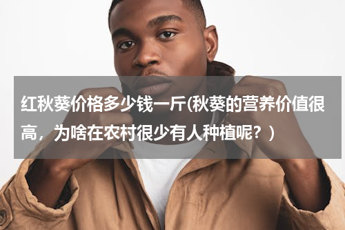 红秋葵价格多少钱一斤(秋葵的营养价值很高，为啥在农村很少有人种植呢？)