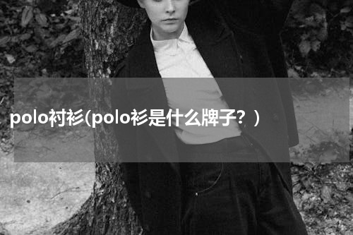 polo衬衫(polo衫是什么牌子？)