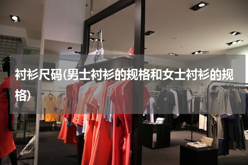 衬衫尺码(男士衬衫的规格和女士衬衫的规格)