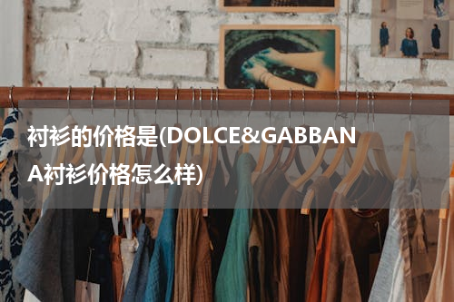 衬衫的价格是(DOLCE&GABBANA衬衫价格怎么样)