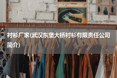 衬衫厂家(武汉东堡大桥衬衫有限责任公司简介)