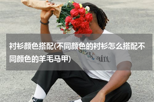 衬衫颜色搭配(不同颜色的衬衫怎么搭配不同颜色的羊毛马甲)