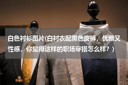 白色衬衫图片(白衬衣配黑色皮裤，优雅又性感，你觉得这样的职场穿搭怎么样？)