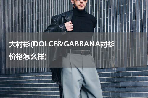 大衬衫(DOLCE&GABBANA衬衫价格怎么样)