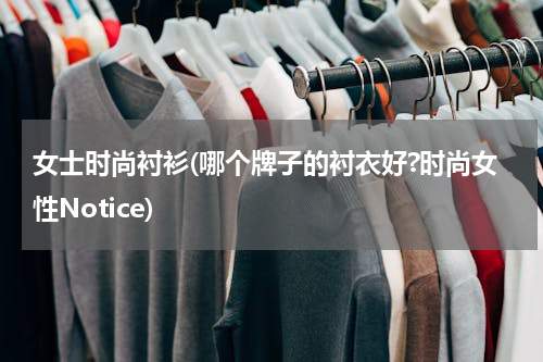 女士时尚衬衫(哪个牌子的衬衣好?时尚女性Notice)