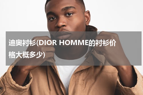 迪奥衬衫(DIOR HOMME的衬衫价格大概多少)