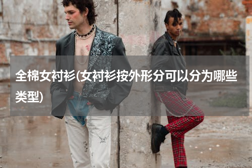 全棉女衬衫(女衬衫按外形分可以分为哪些类型)