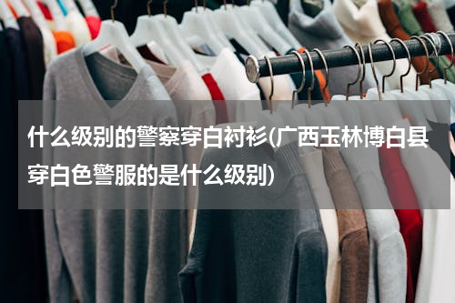 什么级别的警察穿白衬衫(广西玉林博白县穿白色警服的是什么级别)