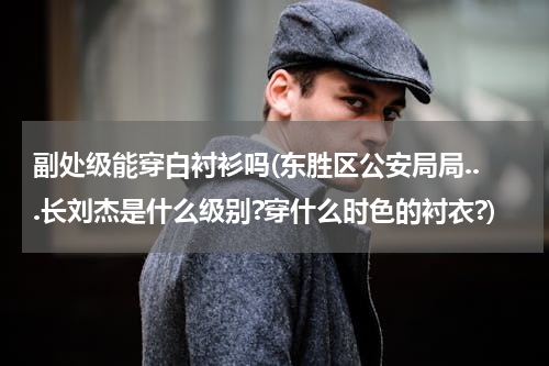 副处级能穿白衬衫吗(东胜区公安局局...长刘杰是什么级别?穿什么时色的衬衣?)