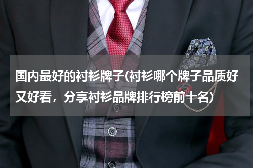 国内最好的衬衫牌子(衬衫哪个牌子品质好又好看，分享衬衫品牌排行榜前十名)