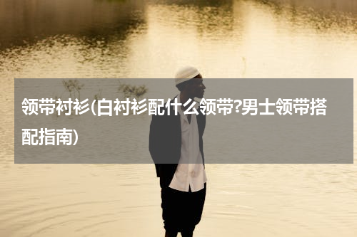 领带衬衫(白衬衫配什么领带?男士领带搭配指南)