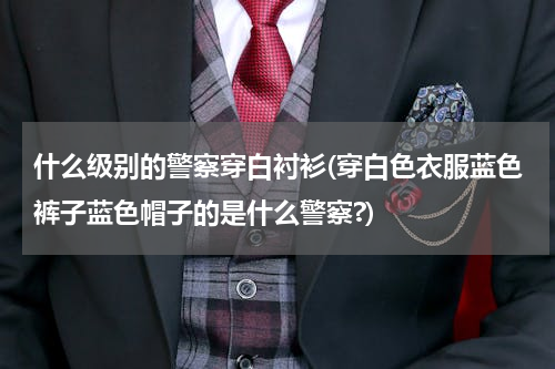 什么级别的警察穿白衬衫(穿白色衣服蓝色裤子蓝色帽子的是什么警察?)