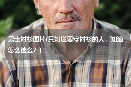 男士衬衫图片(只知道要穿衬衫的人，知道怎么选么？)