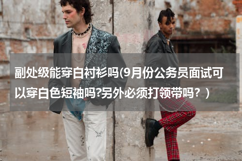 副处级能穿白衬衫吗(9月份公务员面试可以穿白色短袖吗?另外必须打领带吗？)