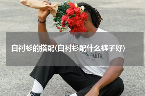 白衬衫的搭配(白衬衫配什么裤子好)