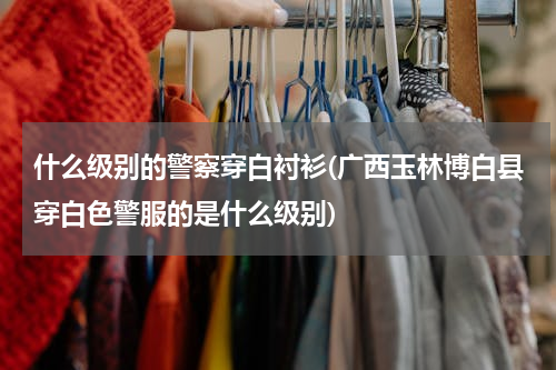 什么级别的警察穿白衬衫(广西玉林博白县穿白色警服的是什么级别)
