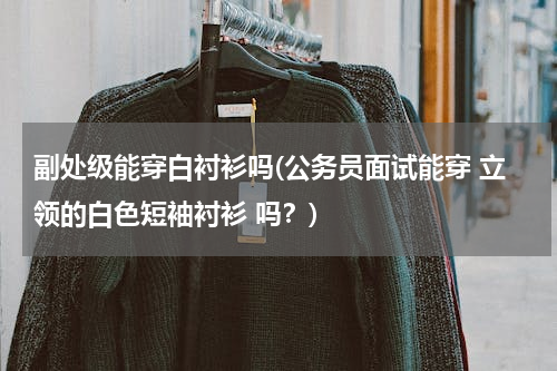 副处级能穿白衬衫吗(公务员面试能穿 立领的白色短袖衬衫 吗？)