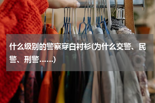 什么级别的警察穿白衬衫(为什么交警、民警、刑警……)