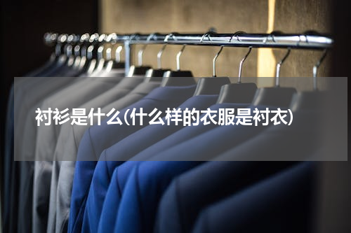 衬衫是什么(什么样的衣服是衬衣)