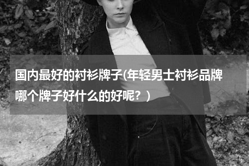 国内最好的衬衫牌子(年轻男士衬衫品牌 哪个牌子好什么的好呢？)