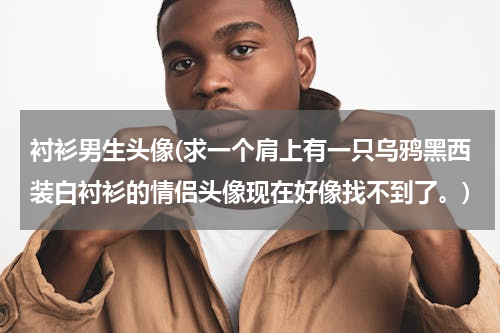 衬衫男生头像(求一个肩上有一只乌鸦黑西装白衬衫的情侣头像现在好像找不到了。)