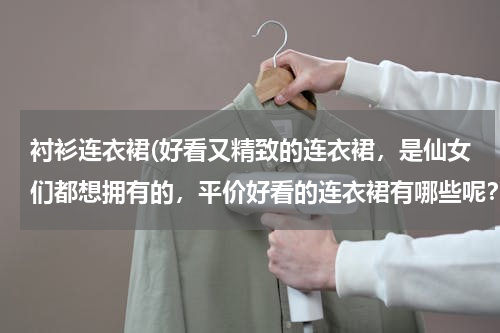 衬衫连衣裙(好看又精致的连衣裙，是仙女们都想拥有的，平价好看的连衣裙有哪些呢？)