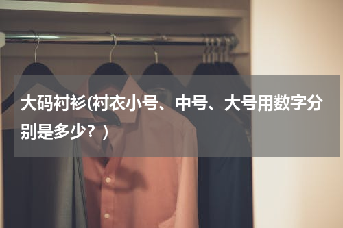 大码衬衫(衬衣小号、中号、大号用数字分别是多少？)