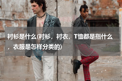 衬衫是什么(衬衫，衬衣，T恤都是指什么，衣服是怎样分类的)