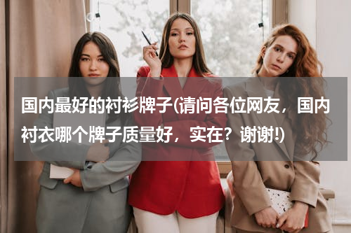 国内最好的衬衫牌子(请问各位网友，国内衬衣哪个牌子质量好，实在？谢谢!)