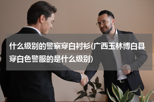 什么级别的警察穿白衬衫(广西玉林博白县穿白色警服的是什么级别)