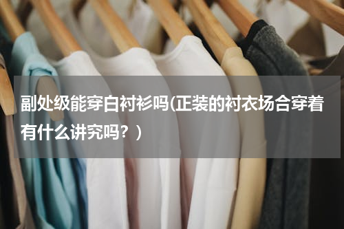 副处级能穿白衬衫吗(正装的衬衣场合穿着有什么讲究吗？)