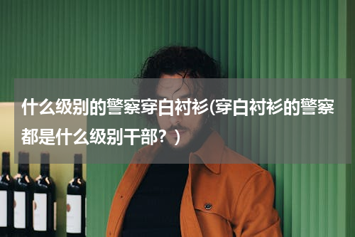 什么级别的警察穿白衬衫(穿白衬衫的警察都是什么级别干部？)