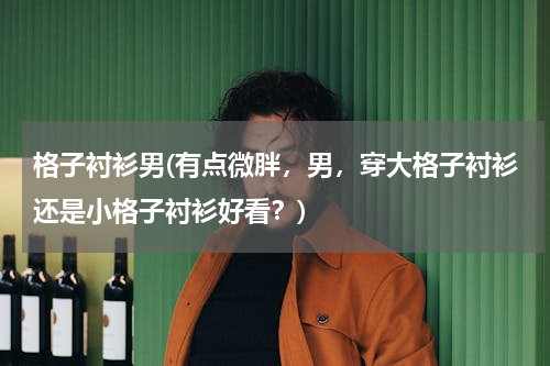 格子衬衫男(有点微胖，男，穿大格子衬衫还是小格子衬衫好看？)