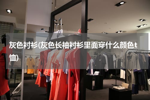 灰色衬衫(灰色长袖衬衫里面穿什么颜色t恤)