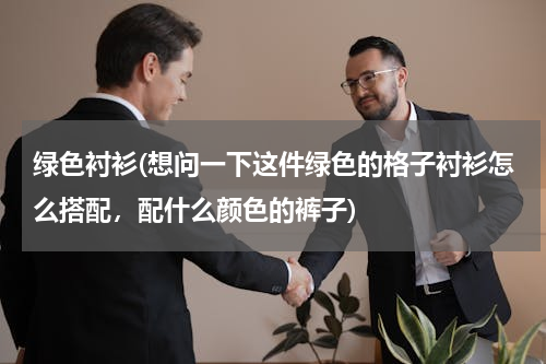 绿色衬衫(想问一下这件绿色的格子衬衫怎么搭配，配什么颜色的裤子)