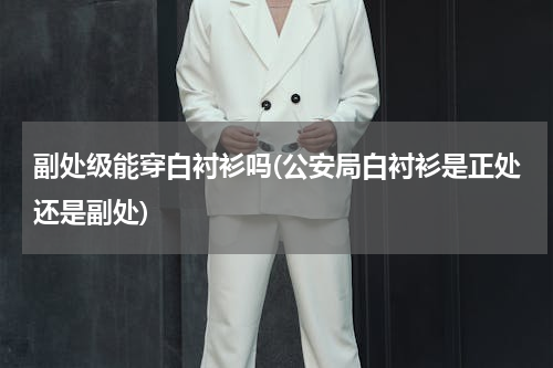 副处级能穿白衬衫吗(公安局白衬衫是正处还是副处)