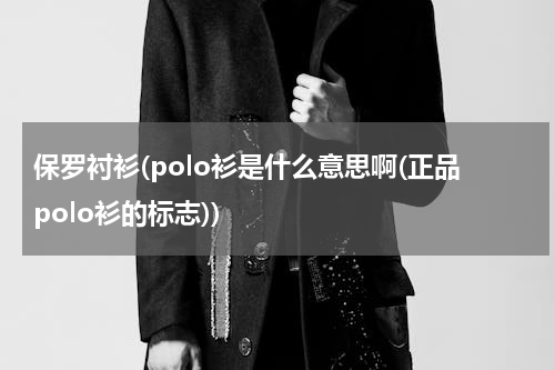保罗衬衫(polo衫是什么意思啊(正品polo衫的标志))