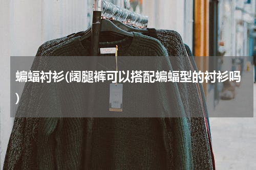 蝙蝠衬衫(阔腿裤可以搭配蝙蝠型的衬衫吗)