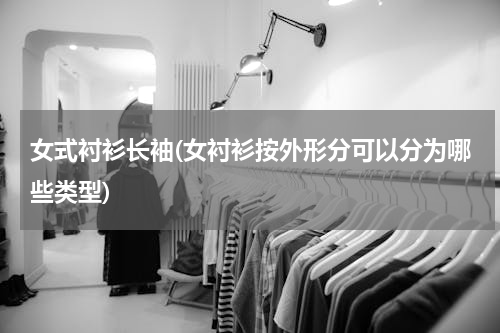 女式衬衫长袖(女衬衫按外形分可以分为哪些类型)