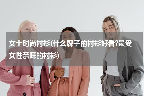 女士时尚衬衫(什么牌子的衬衫好看?最受女性亲睐的衬衫)