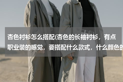 杏色衬衫怎么搭配(杏色的长袖衬衫，有点职业装的感觉，要搭配什么款式，什么颜色的裤子好看呢？)