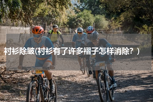 衬衫除皱(衬衫有了许多褶子怎样消除？)