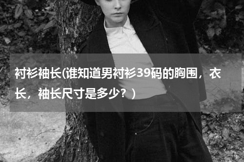 衬衫袖长(谁知道男衬衫39码的胸围，衣长，袖长尺寸是多少？)