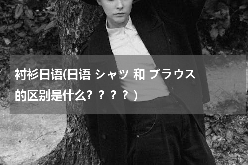 衬衫日语(日语 シャツ 和 ブラウス 的区别是什么？？？？)